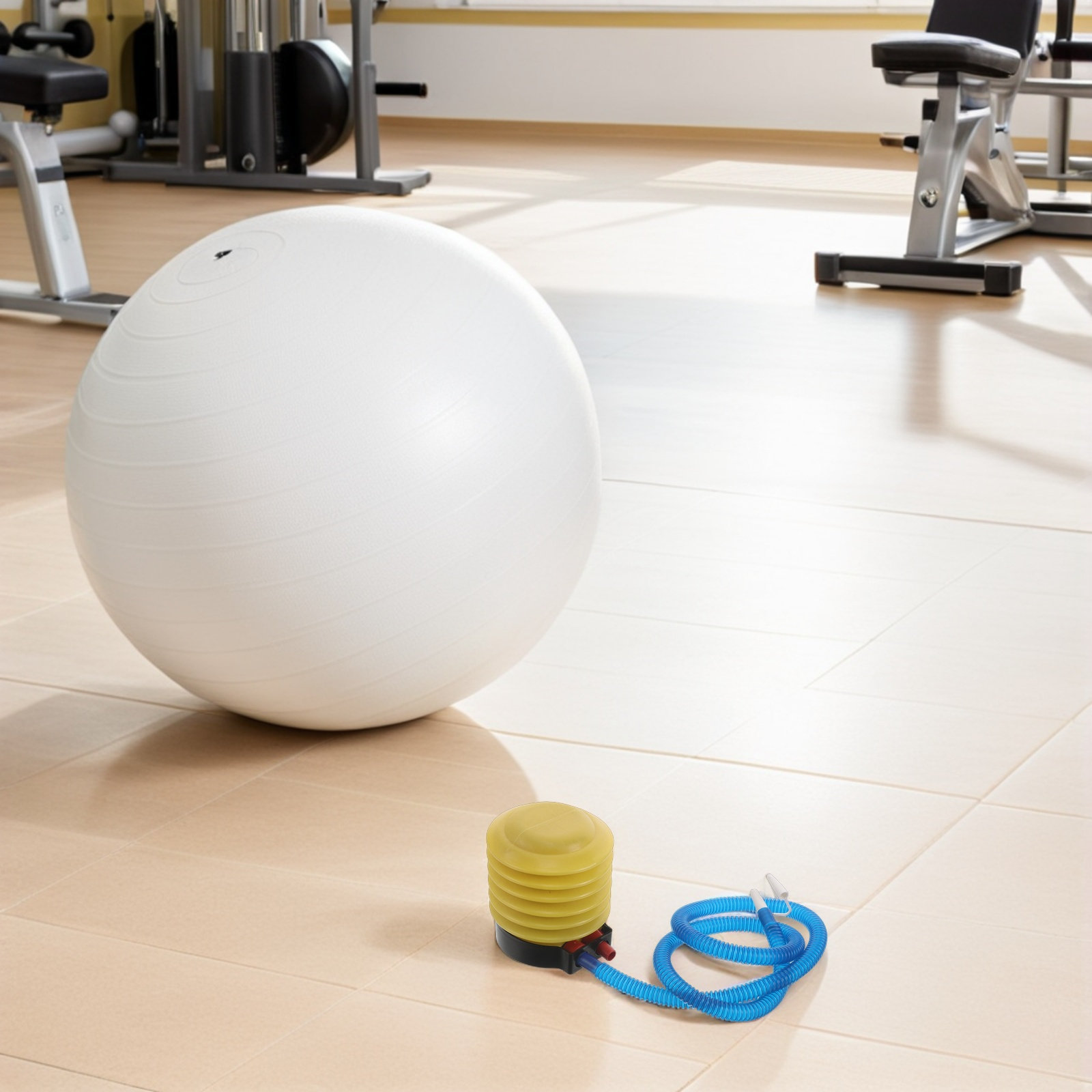 1 Set Gonfiatore per Palla da  - Pilates Is Yoga recensione e prezzo